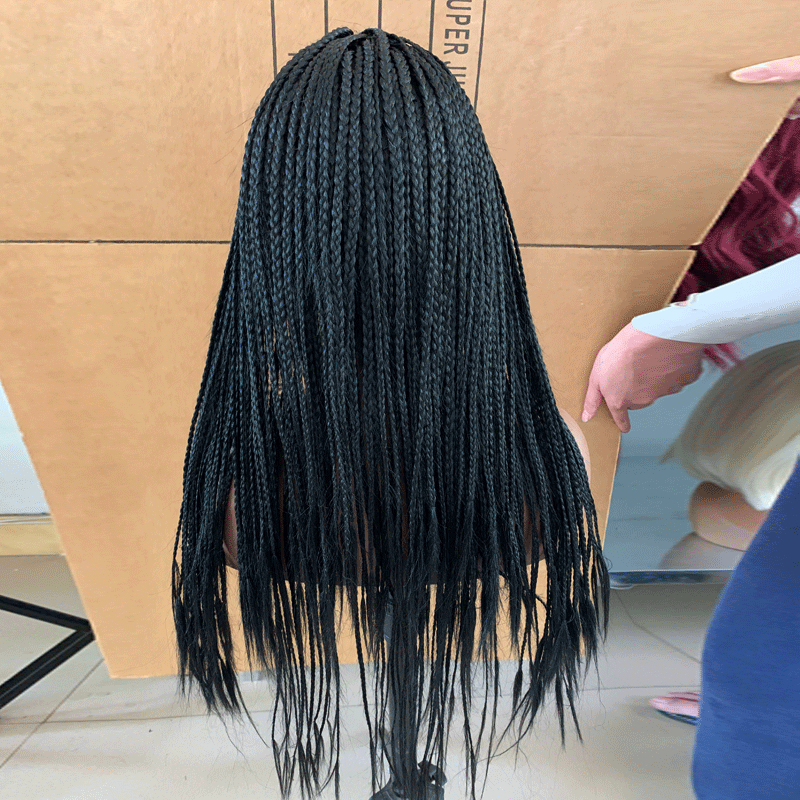 Lace Front Braided Wig