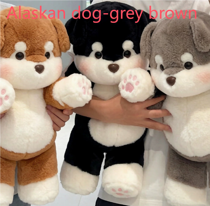 7067d1a63836455780b99ed729c7d8fb