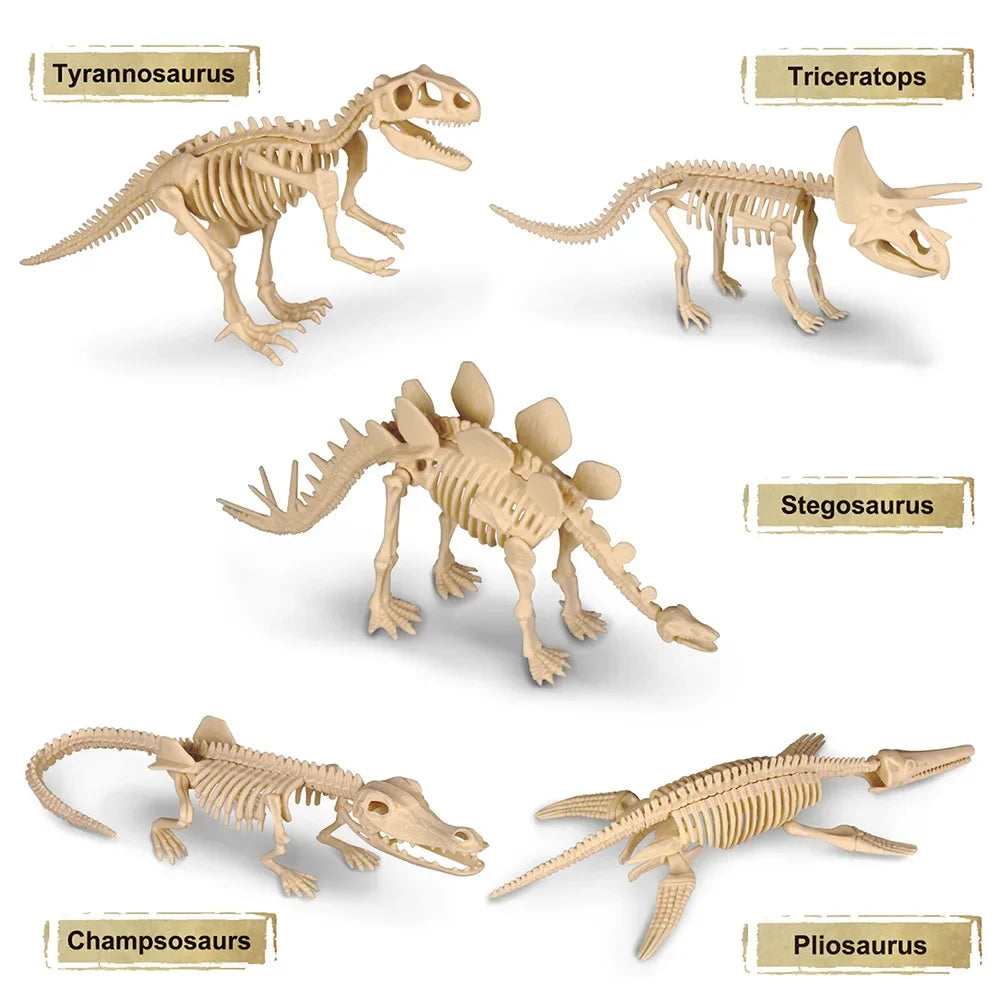 Dinosaur Fossil Excavation Kit Toys Jurassic Animal Skeleton Digging Archaeological Education
