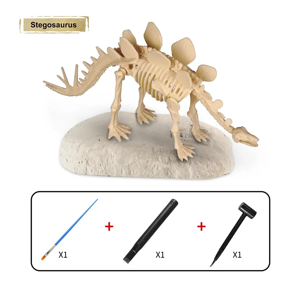 Dinosaur Fossil Excavation Kit Toys Jurassic Animal Skeleton Digging Archaeological Education