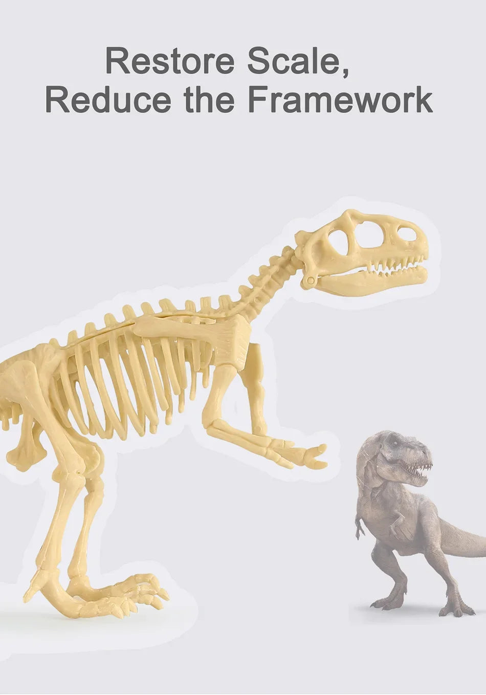 Dinosaur Fossil Excavation Kit Toys Jurassic Animal Skeleton Digging Archaeological Education