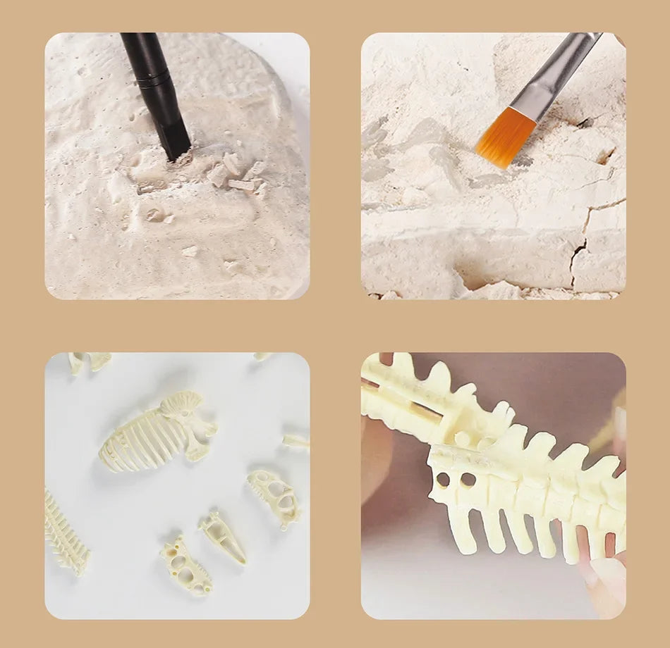 Dinosaur Fossil Excavation Kit Toys Jurassic Animal Skeleton Digging Archaeological Education