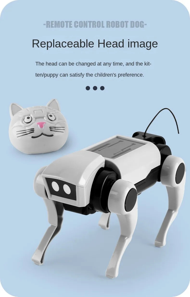 RC Robot Remote Control Mechanical Cat