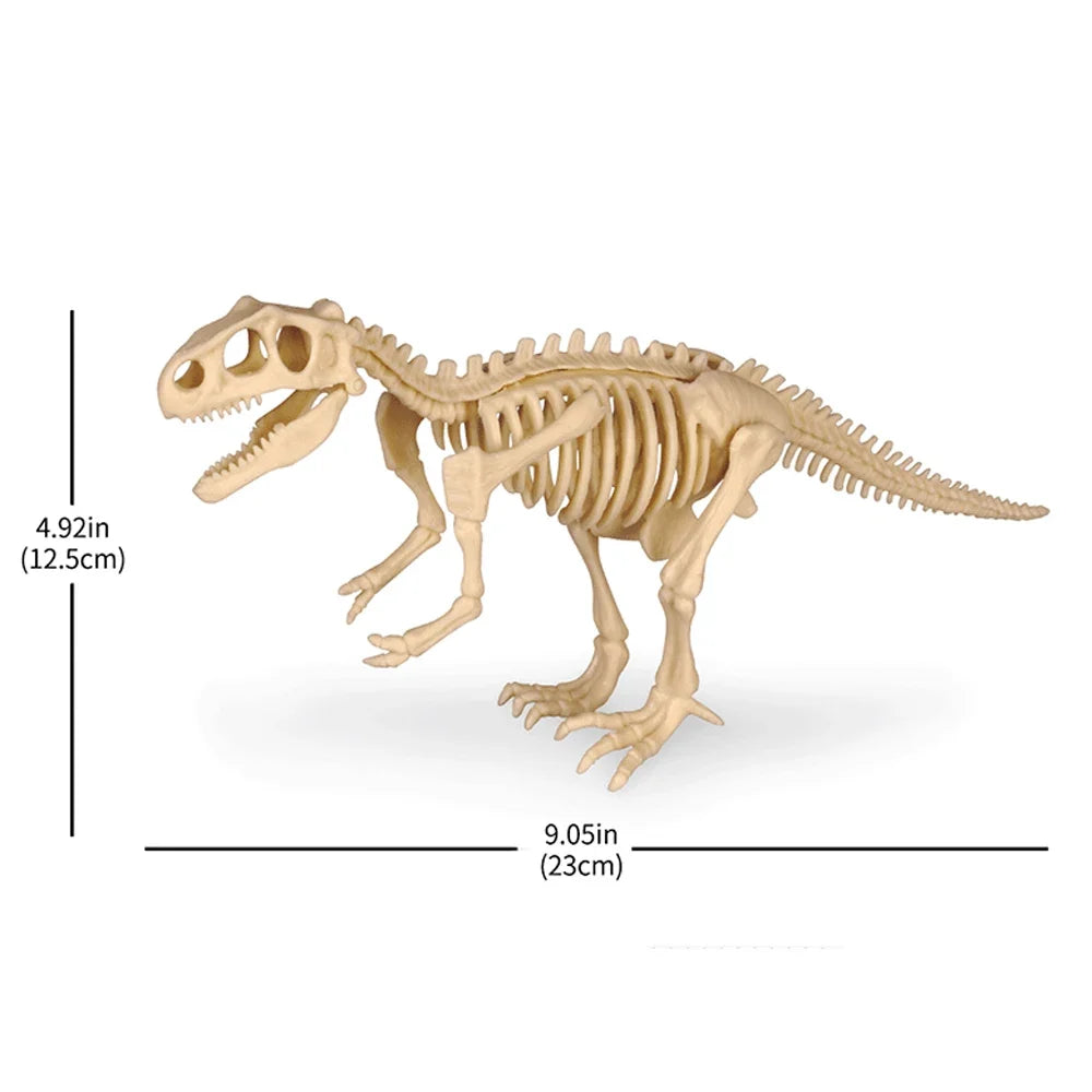 Dinosaur Fossil Excavation Kit Toys Jurassic Animal Skeleton Digging Archaeological Education