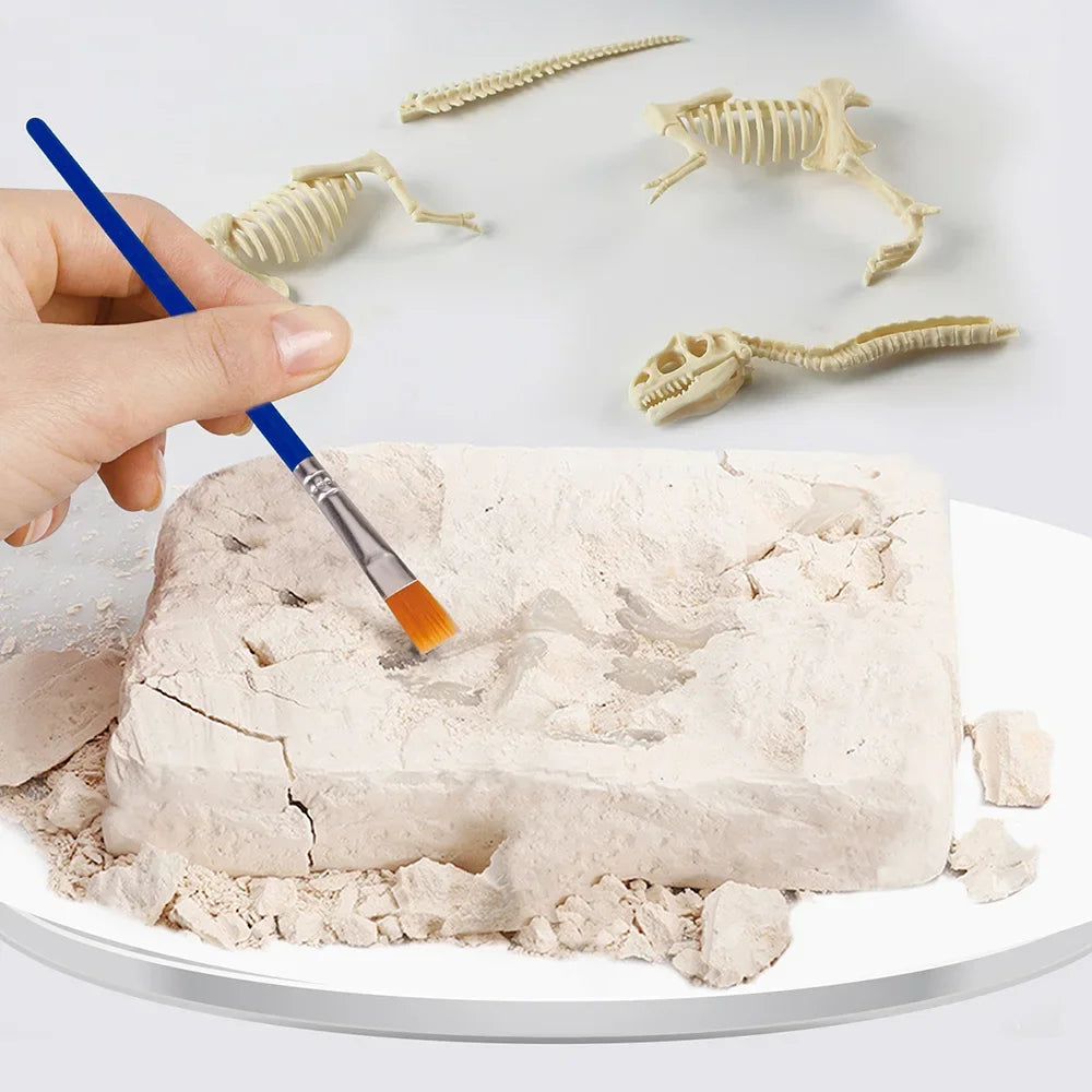 Dinosaur Fossil Excavation Kit Toys Jurassic Animal Skeleton Digging Archaeological Education