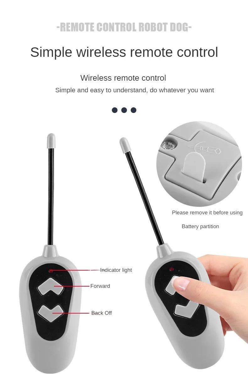 RC Robot Remote Control Mechanical Cat