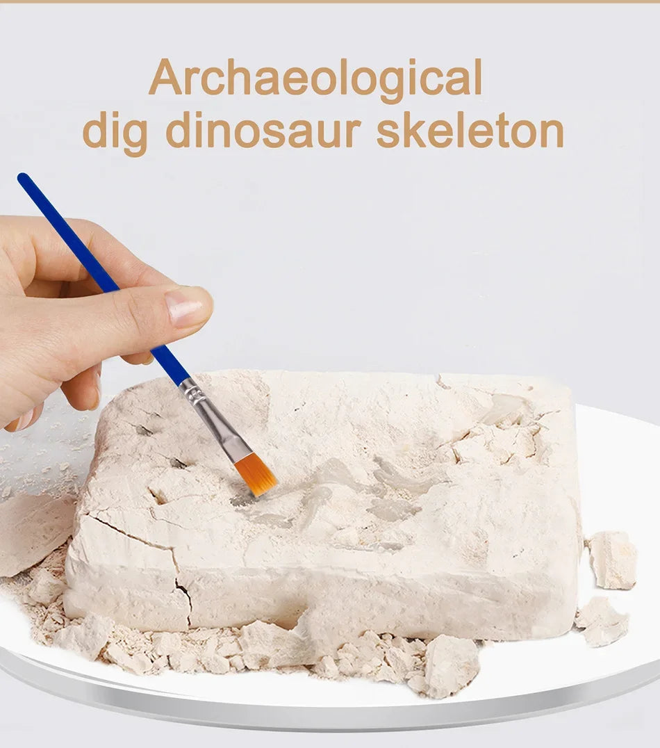 Dinosaur Fossil Excavation Kit Toys Jurassic Animal Skeleton Digging Archaeological Education