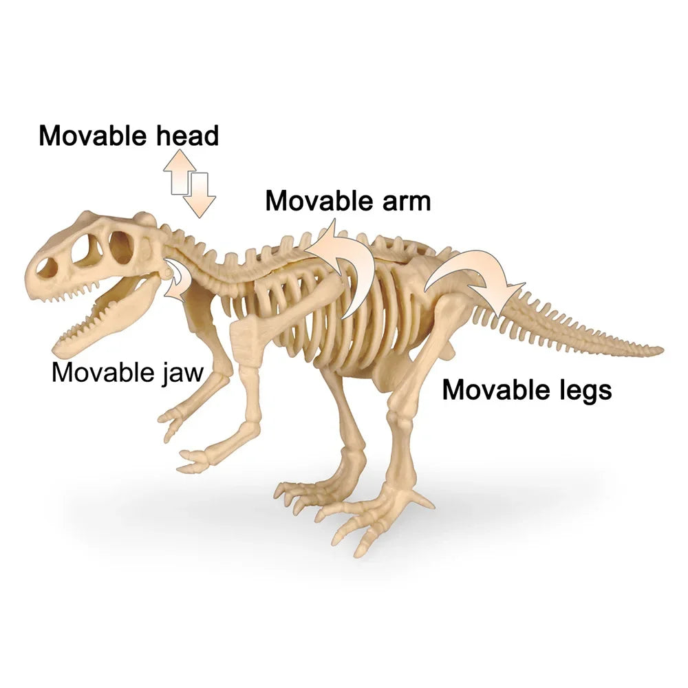 Dinosaur Fossil Excavation Kit Toys Jurassic Animal Skeleton Digging Archaeological Education