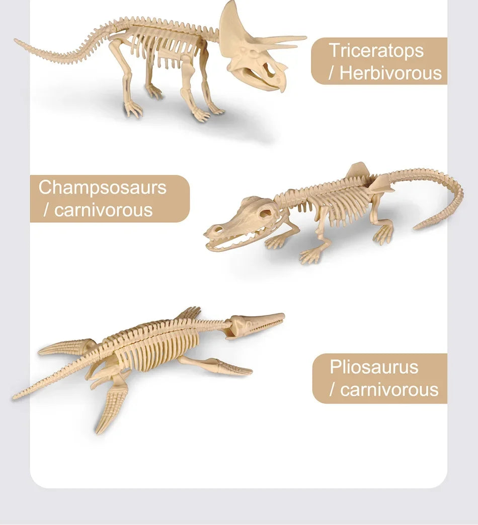 Dinosaur Fossil Excavation Kit Toys Jurassic Animal Skeleton Digging Archaeological Education