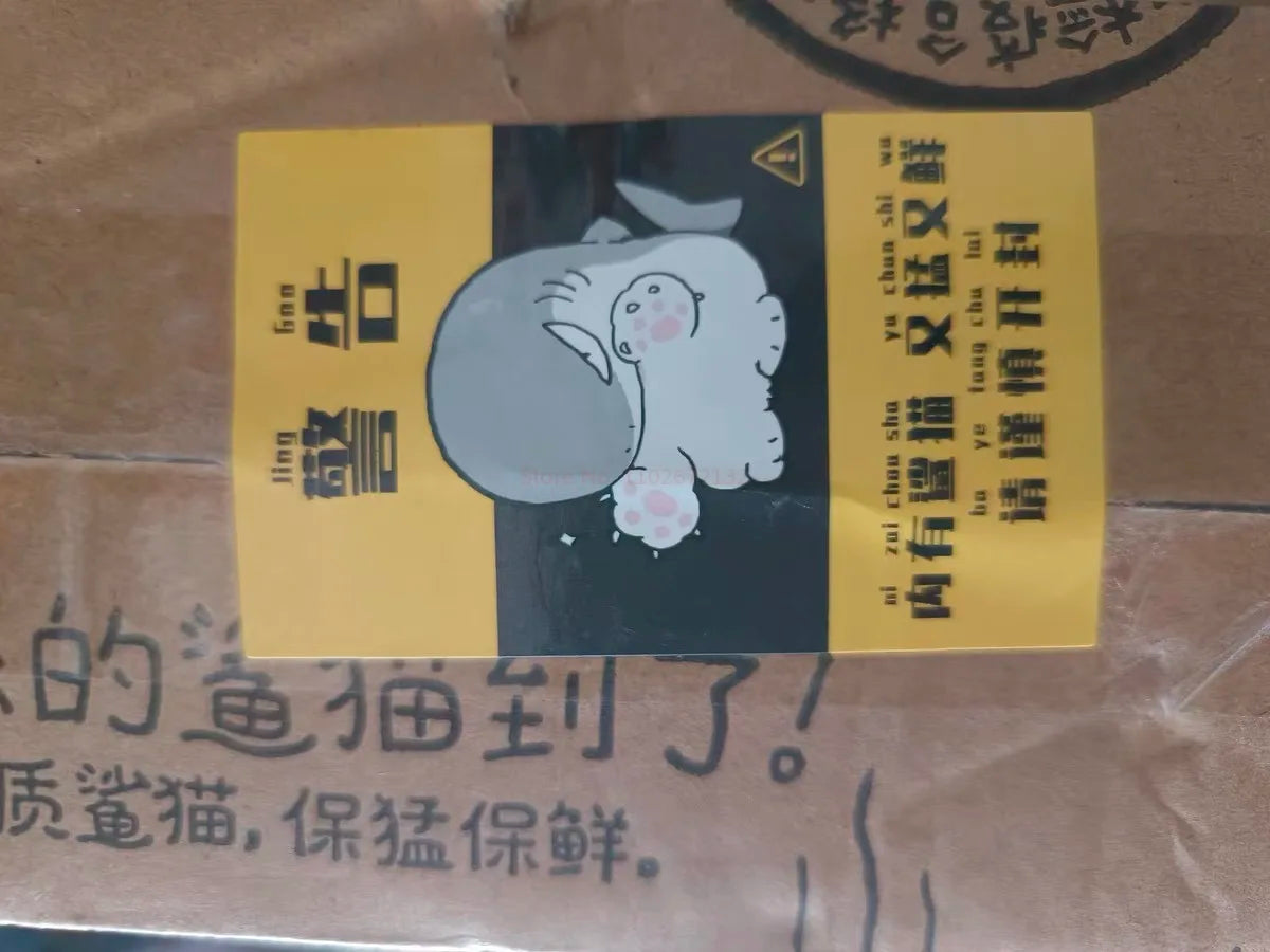 Shark Cat Sharkitty Squeeze Toys Slow Rising Stress Reliever Desktop Toys