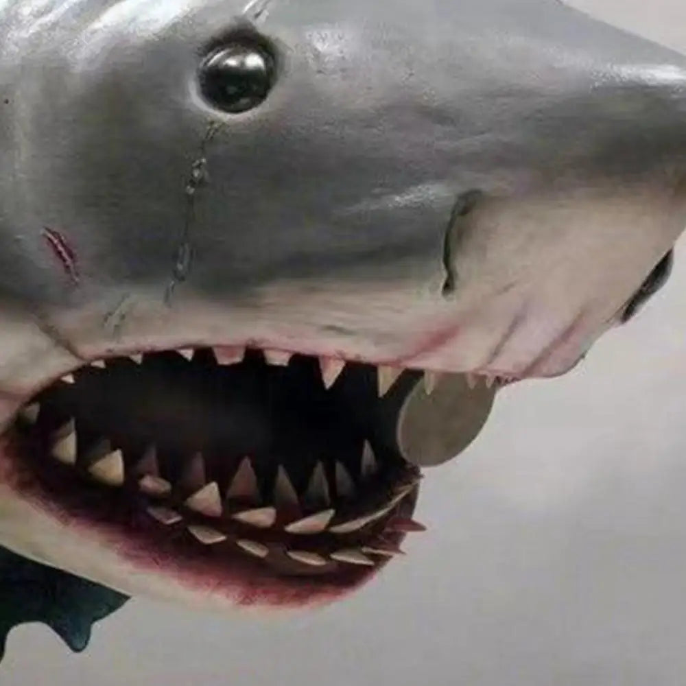 Shark Wall Sculpture 12x9x9cm Resin Wall Mounted Shark