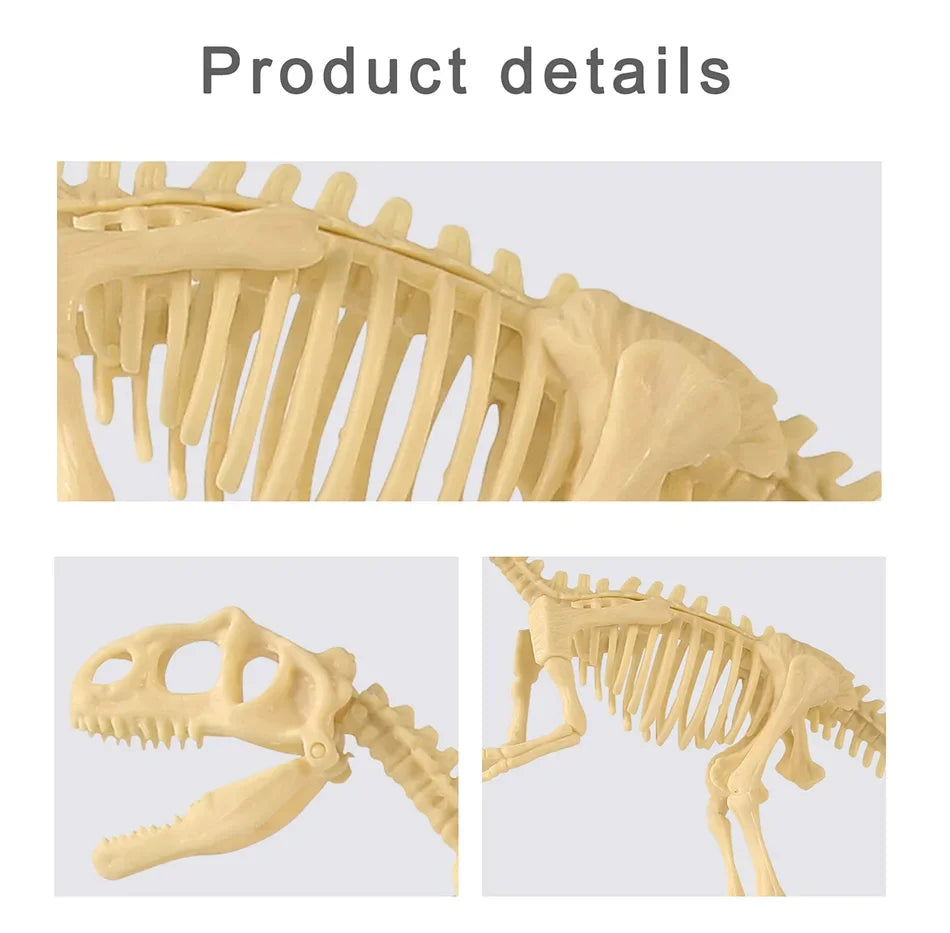 Dinosaur Fossil Excavation Kit Toys Jurassic Animal Skeleton Digging Archaeological Education